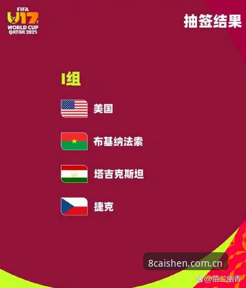 2025世界杯观赛困局深度评测：签证危机如何搅动全球球迷热情